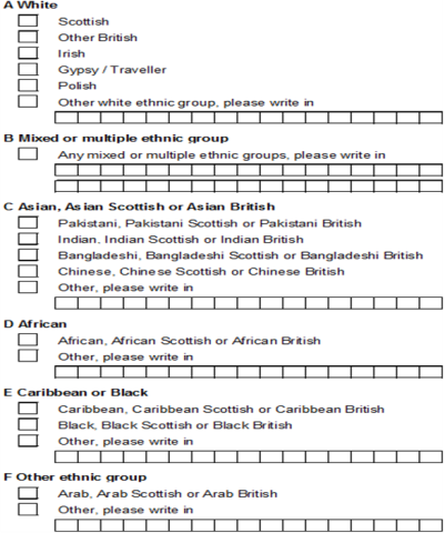 table showing boxes to choose ethnic group